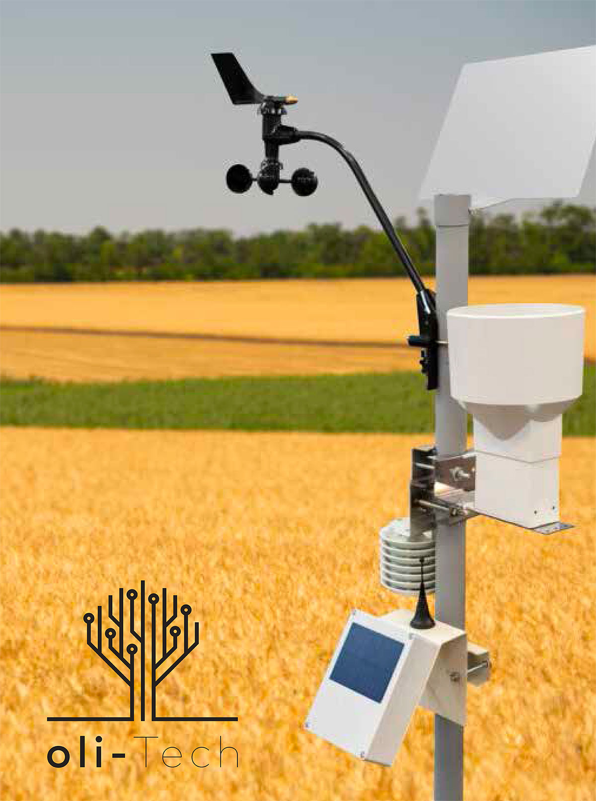 Rolling Stone Italia